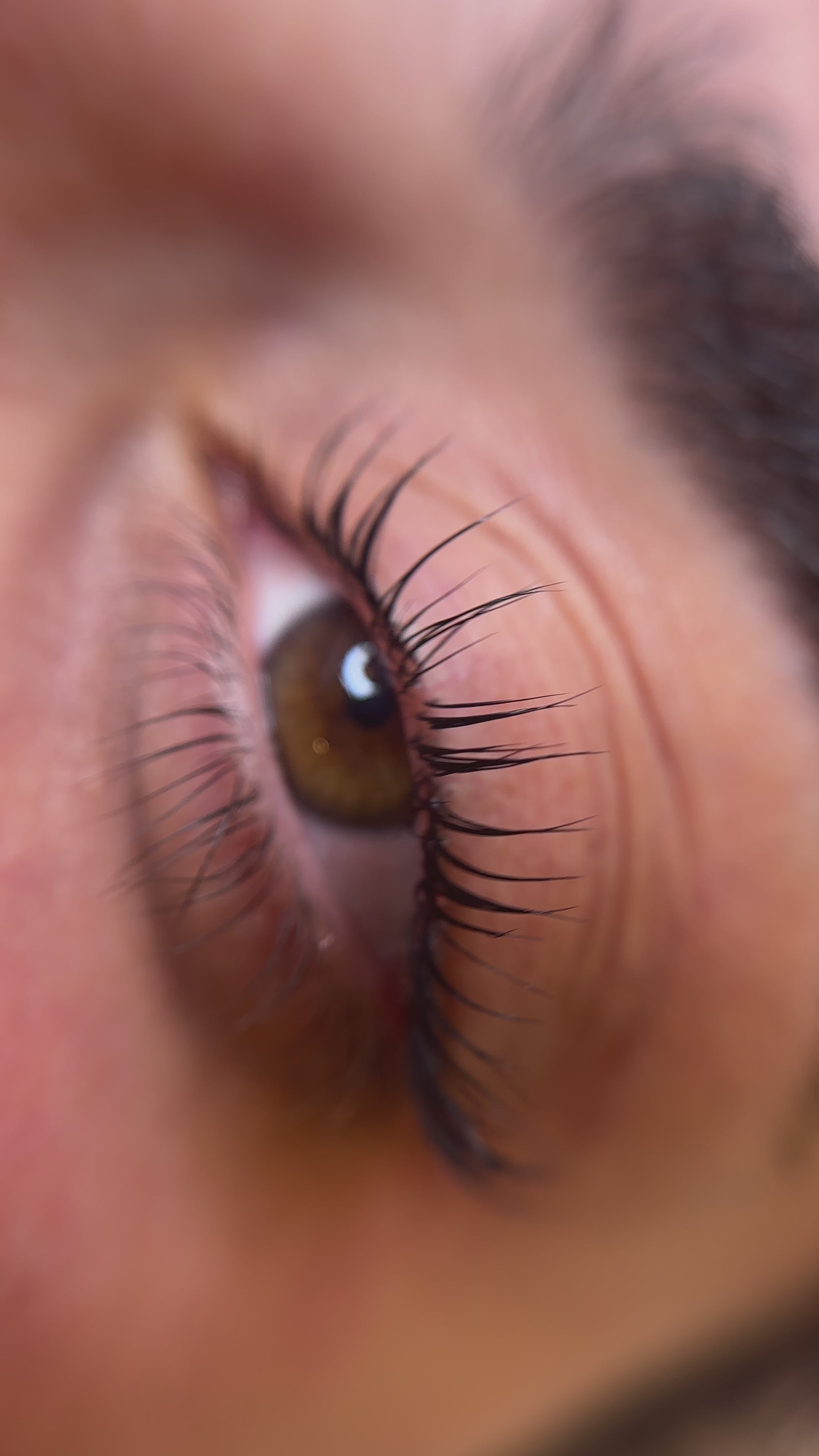 Lash Lift Training - Professional 1-Day Course with Starter Kit