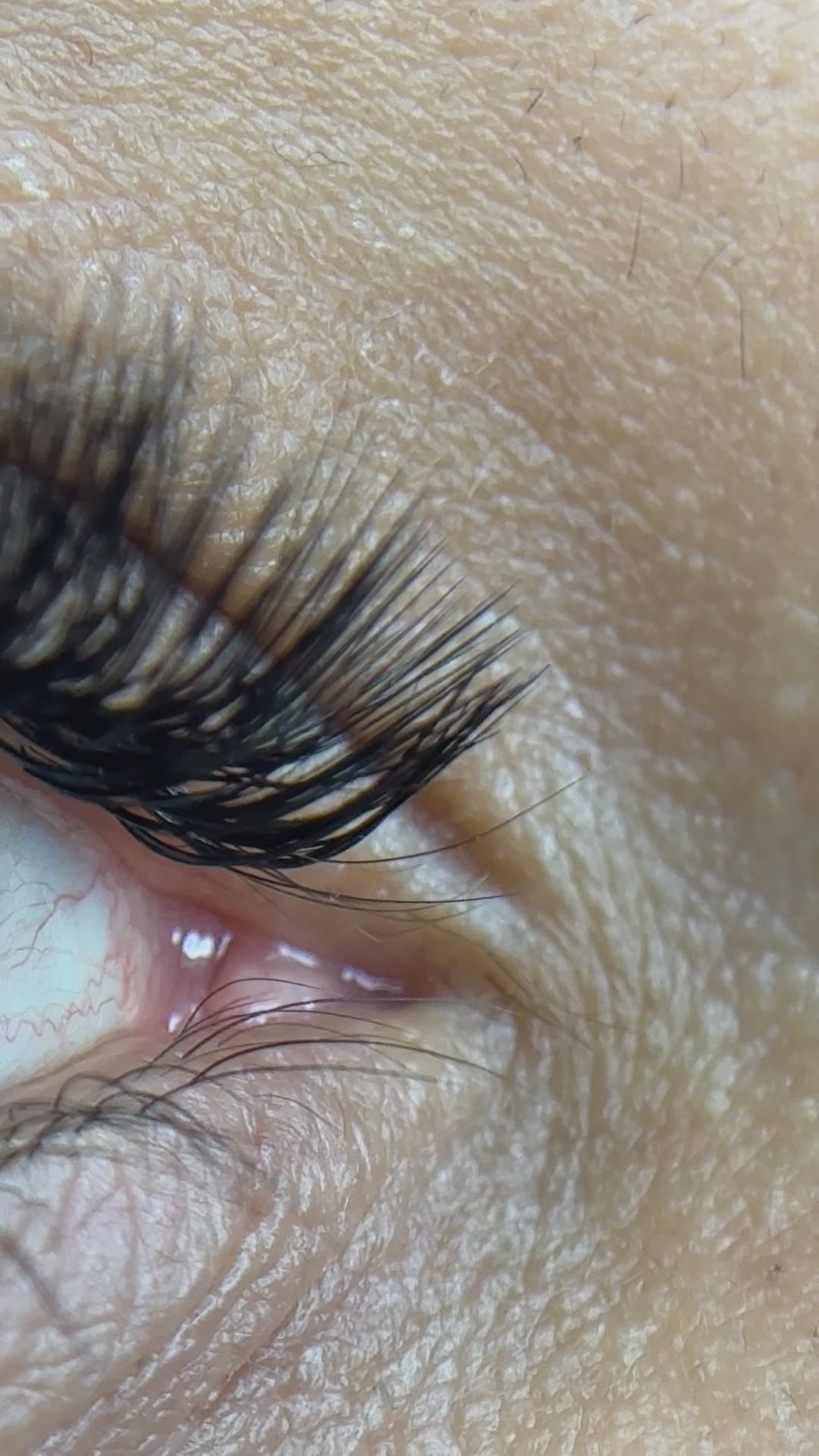 Lash Extensions Training - Professional 4-Day Course with Starter Kit